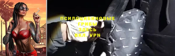 не бодяженный Арсеньев